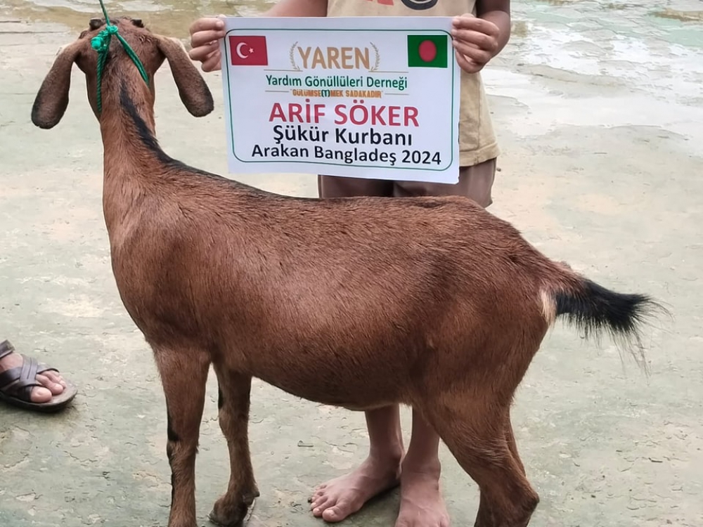 ARAKAN -AFRİKA ; Adak,Akika,şükür ve hayr kurban kesimlerimiz devam ediyor 