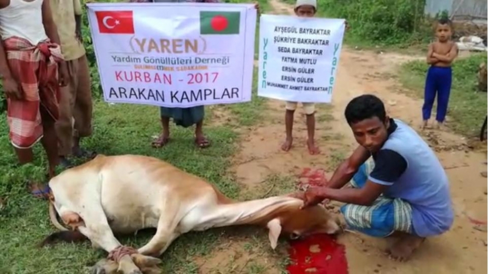 Arakan´da Kurban Kesimlerimiz Tamamlandı