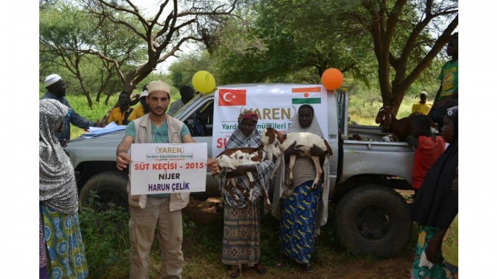 Nijer'de Süt Keçisi Dağıtımı Devam Ediyor